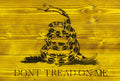 Flags of Valor - Don't Tread On Me Gadsden Flag